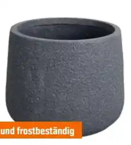 OBI Pflanztopf Lavalle Angebot