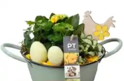 OBI Bepflanzte Zinkschale Angebot