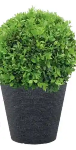 OBI Grow by Obi Buchsbaum Faulkner Angebot