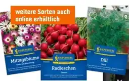 OBI Kiepenkerl Sämereien Angebot