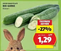 Hofer Bio Gurke Angebot