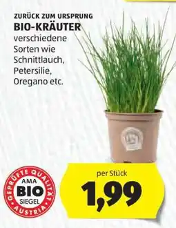 Hofer BIO-KRÄUTER Angebot