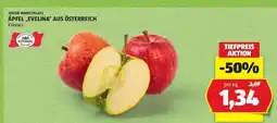 Hofer ÄPFEL „EVELINA“ AUS ÖSTERREICH Angebot