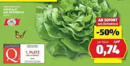 Hofer KOPFSALAT AUS ÖSTERREICH Angebot