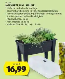 Hofer HOCHBEET INKL. HAUBE Angebot