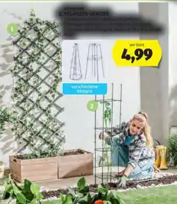 Hofer Pflanzen-Spalier Angebot