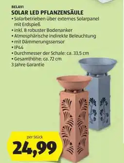 Hofer SOLAR LED PFLANZENSÄULE Angebot