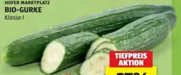 Hofer Hofer Marktplatz Bio-Gurke Angebot