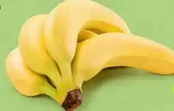 Hofer Hofer Marktplatz Bio-Bananen Angebot