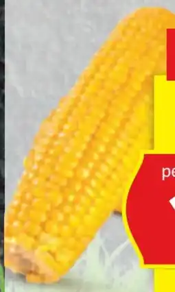 Hofer Hofer Marktplatz Zuckermais Angebot