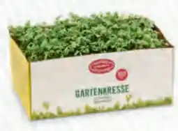 Hofer Zurück zum Ursprung Bio-Kresse Angebot