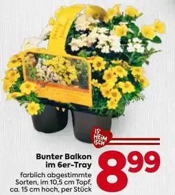 Billa Bunter balkon im 6er-tray Angebot