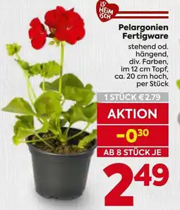 Billa Pelargonien fertigware Angebot
