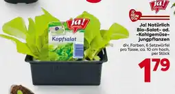 Billa Ja! natürlich bio-salat- od. -kohlgemüse- jungpflanzen Angebot