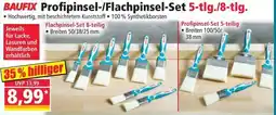 Norma Baufix profipinsel-/flachpinsel-set 5-tlg./8-tlg. Angebot
