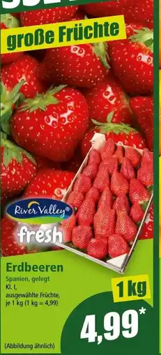 Norma Erdbeeren Angebot