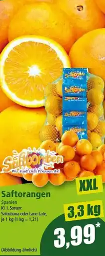 Norma Saftorangen Angebot