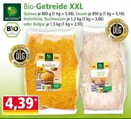 Norma Bio-getreide xxl Angebot