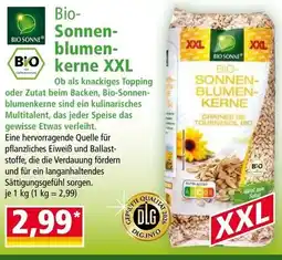 Norma Bio- Sonnen- blumen- BIO kerne XXL Angebot