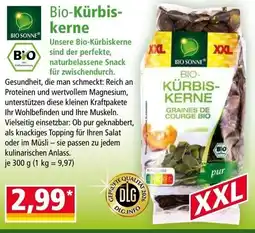 Norma Bio-kürbis- kerne Angebot