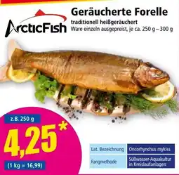 Norma Geräucherte forelle Angebot