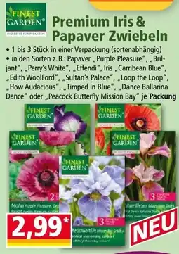 Norma Finest garden premium iris & papaver zwiebeln Angebot