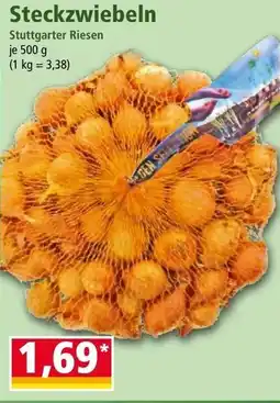 Norma Steckzwiebeln Angebot