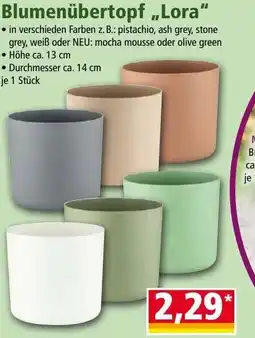 Norma Blumenübertopf „lora“ Angebot