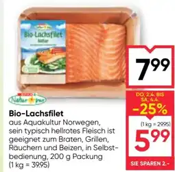 Maximarkt Bio-Lachsfilet Angebot