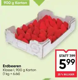 Maximarkt Erdbeeren Angebot