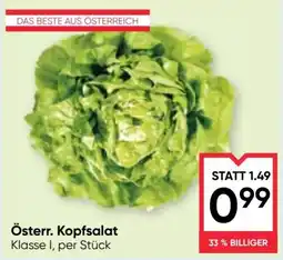Maximarkt Österr. Kopfsalat Angebot