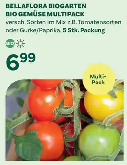 Bellaflora Bellaflora biogarten bio gemüse multipack Angebot