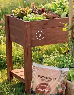 Bellaflora Holz-Hochbeet mit Ablage Angebot