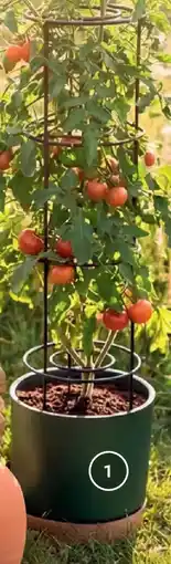 Bellaflora Tomatentopf home grower Angebot