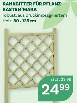 Bellaflora Rankgitter für pflanzkasten 'mara' Angebot