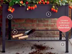 Bellaflora Metall-hochbeet Angebot