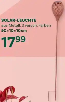 Bellaflora Solar-leuchte Angebot