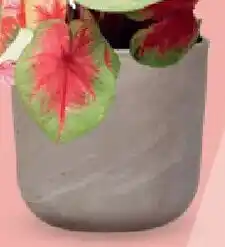 Bellaflora Übertopf Travertino Angebot