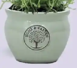 Bellaflora Pflanzkübel heritage garden Angebot