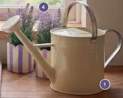 Bellaflora Kent & Stowe Gießkanne Angebot