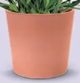 Bellaflora Übertopf Vaso Cilindrico Angebot