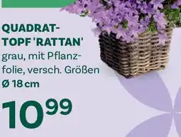 Bellaflora Quadrat- topf rattan Angebot