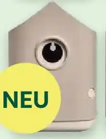 Bellaflora elho Cosy Nistkasten Angebot