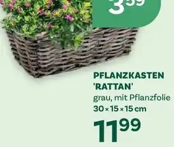 Bellaflora Pflanzkasten rattan Angebot