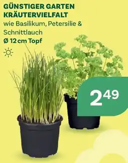 Bellaflora Günstiger garten kräutervielfalt Angebot