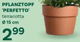 Bellaflora Pflanztopf perfetto Angebot