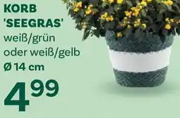 Bellaflora Korb seegras Angebot