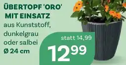 Bellaflora Übertopf oro mit einsatz Angebot