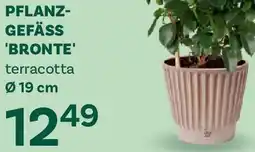 Bellaflora Pflanz- gefäss bronte Angebot