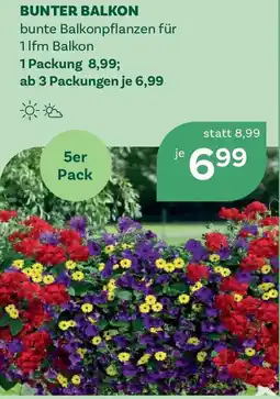 Bellaflora Bunter balkon Angebot